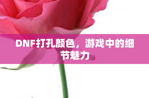 游戏中的细节魅力图片