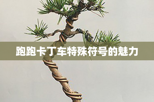 跑跑卡丁车特殊符号的魅力图片