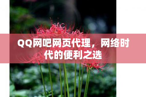 网络时代的便利之选图片