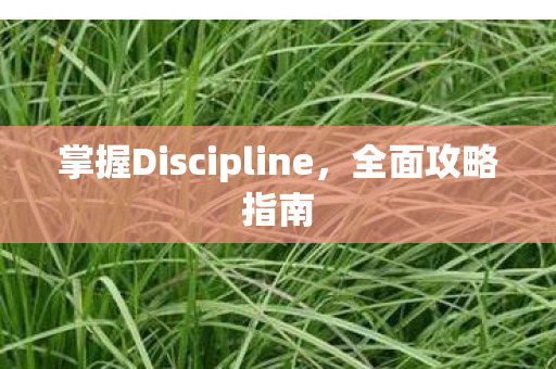 掌握Discipline图片
