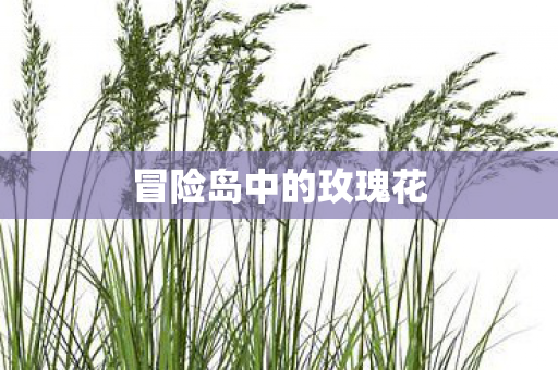 冒险岛中的玫瑰花图片