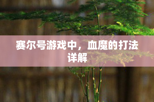 血魔的打法详解图片