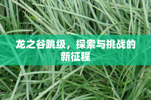 探索与挑战的新征程图片
