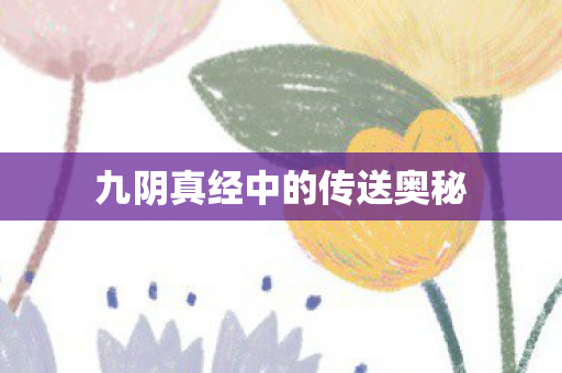九阴真经中的传送奥秘图片