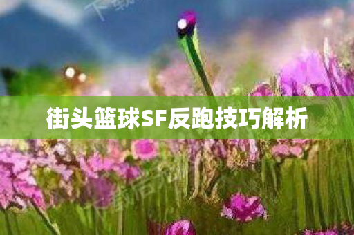 街头篮球SF反跑技巧解析图片
