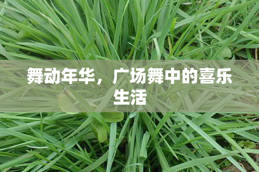广场舞中的喜乐生活图片