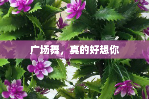 真的好想你图片