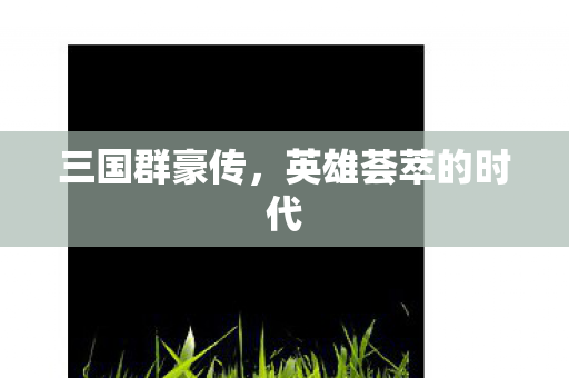 英雄荟萃的时代图片