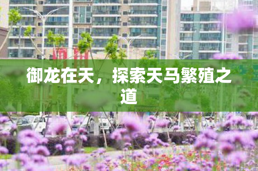 探索天马繁殖之道图片