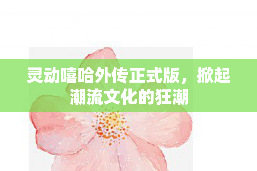 灵动嘻哈外传正式版图片