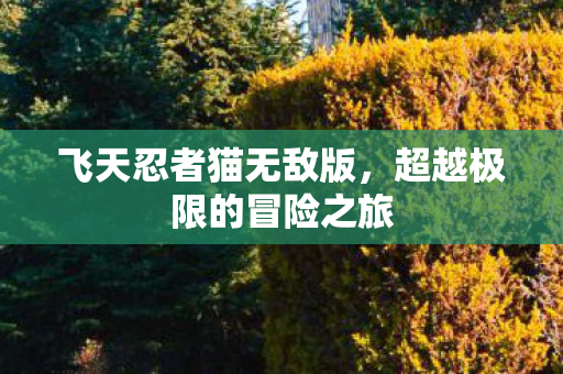 超越极限的冒险之旅图片