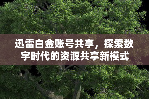 探索数字时代的资源共享新模式图片