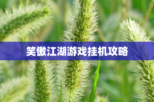 笑傲江湖游戏挂机攻略图片