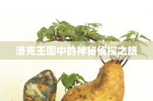 洛克王国中的神秘侦探之旅图片