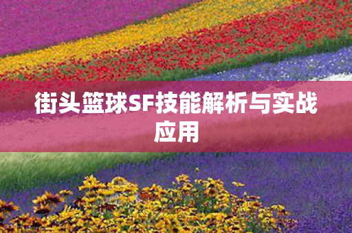 街头篮球SF技能解析与实战应用图片