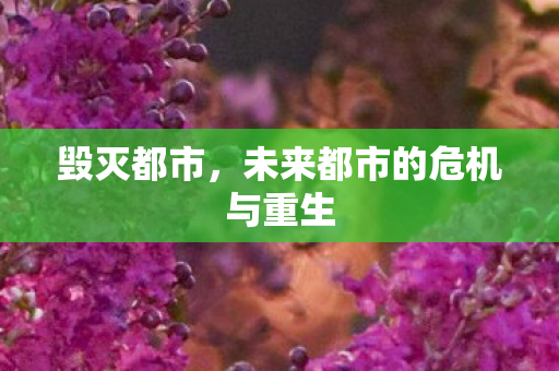 未来都市的危机与重生图片