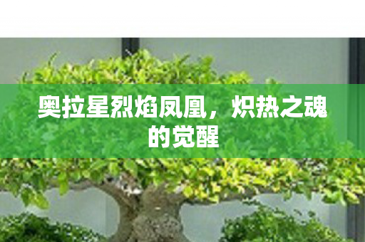 奥拉星烈焰凤凰图片