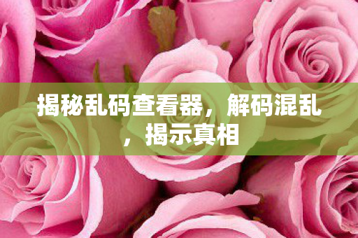 揭秘乱码查看器图片