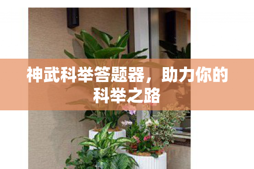 助力你的科举之路图片