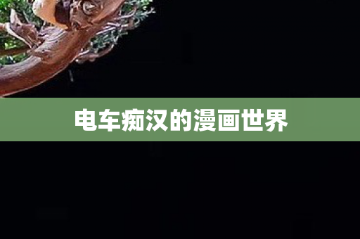 电车痴汉的漫画世界图片