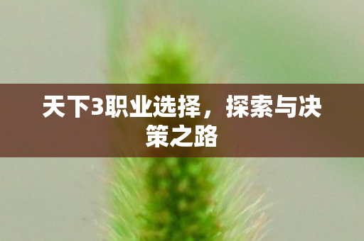 天下3职业选择图片