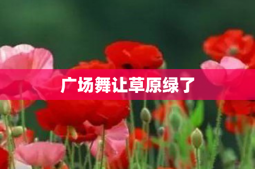 广场舞让草原绿了图片