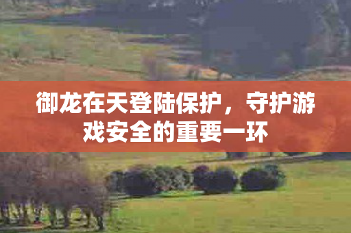 守护游戏安全的重要一环图片
