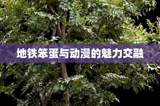 地铁笨蛋与动漫的魅力交融图片