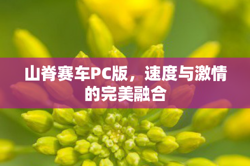 速度与激情的完美融合图片