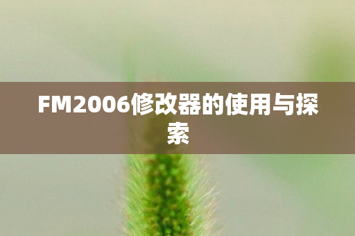 FM2006修改器的使用与探索图片