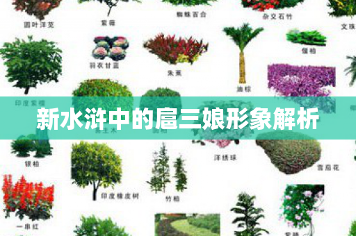 新水浒中的扈三娘形象解析图片