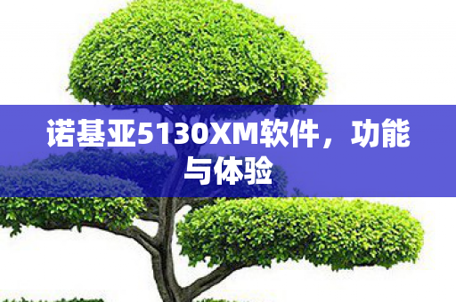 诺基亚5130XM软件图片