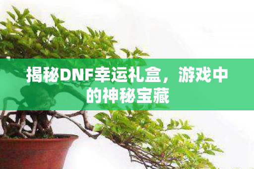 揭秘DNF幸运礼盒图片