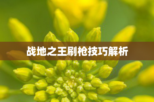 战地之王刷枪技巧解析图片