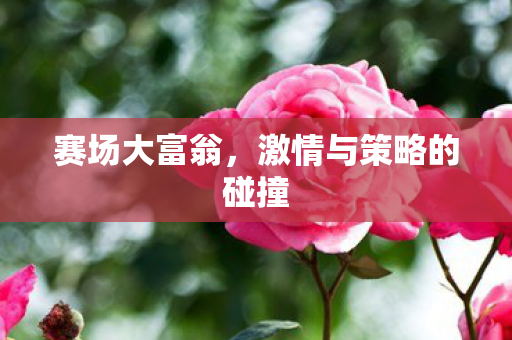 激情与策略的碰撞图片