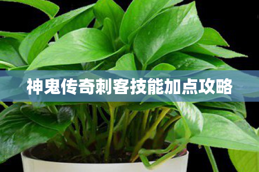神鬼传奇刺客技能加点攻略图片