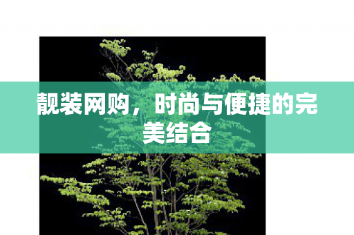 时尚与便捷的完美结合图片