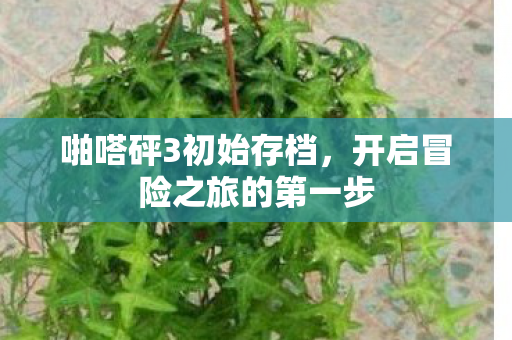 开启冒险之旅的第一步图片