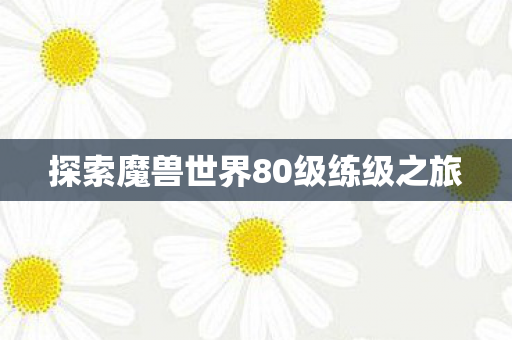 探索魔兽世界80级练级之旅图片