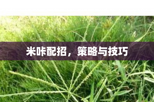 策略与技巧图片