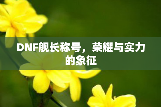 荣耀与实力的象征图片
