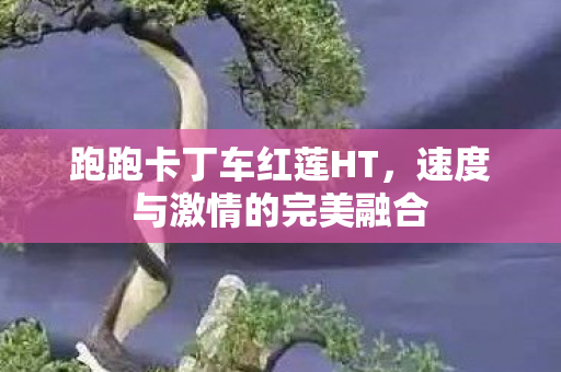 速度与激情的完美融合图片