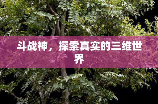 探索真实的三维世界图片
