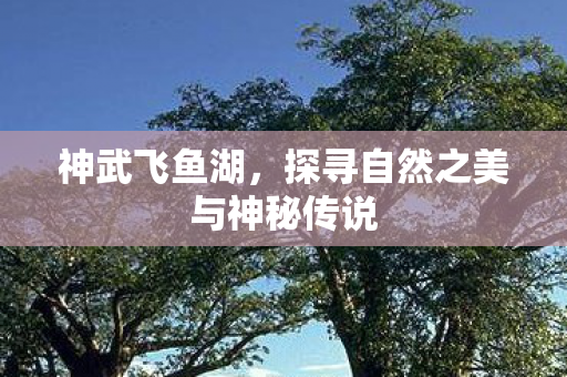 探寻自然之美与神秘传说图片