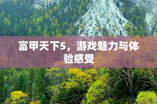游戏魅力与体验感受图片