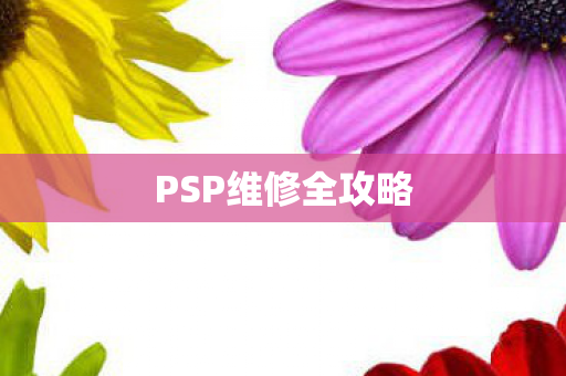 PSP维修全攻略图片