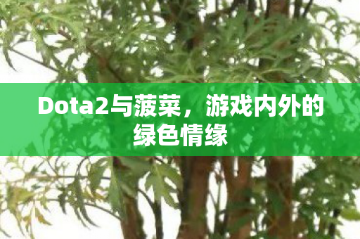 游戏内外的绿色情缘图片