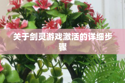 关于剑灵游戏激活的详细步骤图片