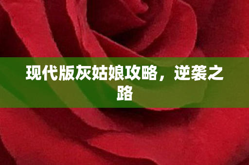 现代版灰姑娘攻略图片