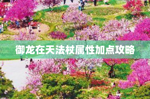 御龙在天法杖属性加点攻略图片